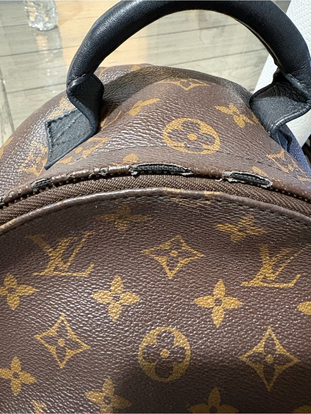Louis Vuitton Palm Springs Backpack - Picture 8 of 13
